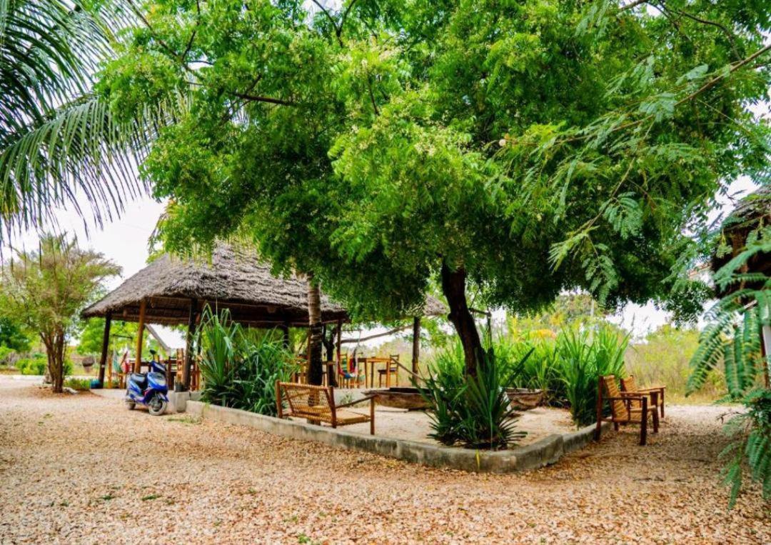 Jahazi Bed and Breakfast Nungwi Εξωτερικό φωτογραφία